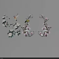 Beautiful Blooming Floral Branches With Pink And White Flowers And Birds