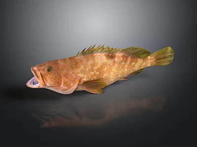 Brown Spotted Fish With Open Mouth And Yellow Fins On Dark Background 3d model