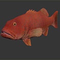 Modern Fish Coral Trout Rainbow Trout Three Monarch 3d model