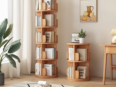 Modern Wooden Tiered And Circular Bookshelves With Potted Plant Wall Art Window Curtains And Rug 3d model