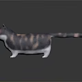 Gray And White Striped Chubby Cat With Large Round Yellow Eyes On Black Reflective Background