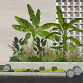 Modern Plant Combination With Banana Leaf Cacti In Long Concrete Planters And Decorative Light Balls