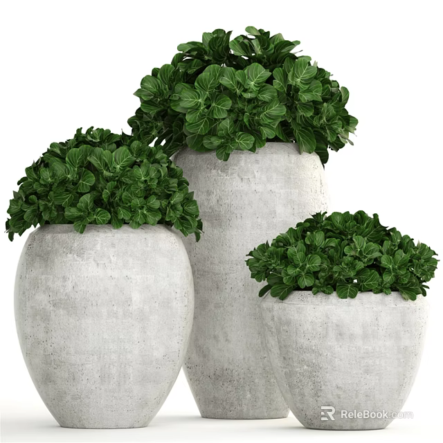 Decorative Ornament Set with Three Concrete Planters and Green Foliage 3d model 