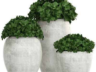 Decorative Ornament Set with Three Concrete Planters and Green Foliage 3d model
