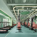 Modern Gym Interior With Green Decor And Various Fitness Equipment