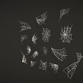 Different Spider Web Designs In White Lines On Black Background 3d model