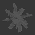 Vibrant Fern Plant With Lush Green Fronds Growing In Dark Background And Height Scale