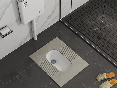 Modern Squat Toilet with Marble Wall Gray Floor Tiles and Shower Partition 3d model