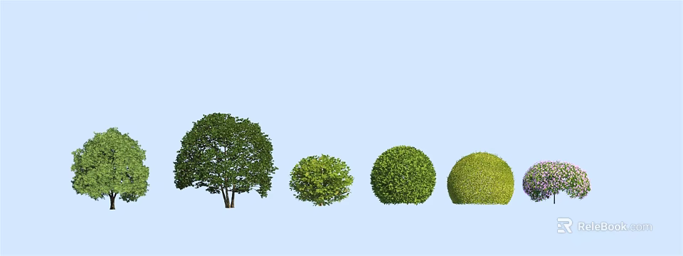 Various Shaped Green Shrubs With Round Forms And Different Sizes In Garden 3d model