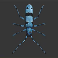 Vibrant Blue and Black Flying Insect with Patterned Wings and Detailed Body Features