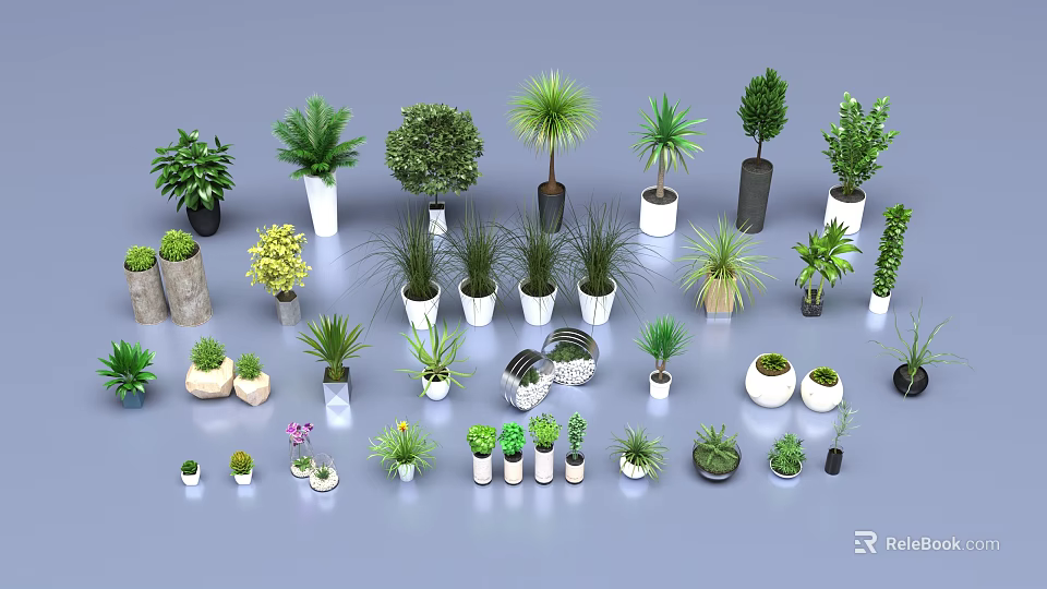 Various Potted Green Plants In Different Sizes Shapes And Material Pots On Gray Background 3d model 