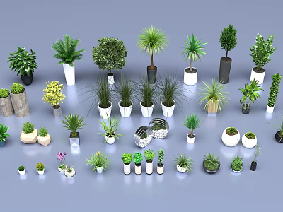 Various Potted Green Plants In Different Sizes Shapes And Material Pots On Gray Background 3d model