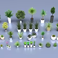 Various Potted Green Plants In Different Sizes Shapes And Material Pots On Gray Background