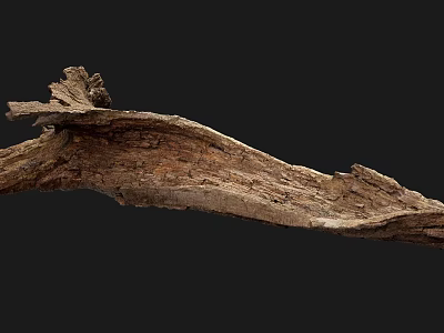 Rustic Wood Log With Natural Stone Like Texture And Dark Background 3d model