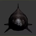 Dark Colored Dolphin With White Spots And Long Beak Marine Animal