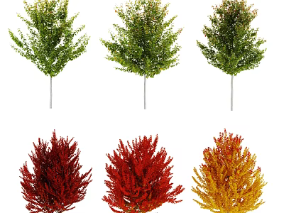 Multiple Arbor Trees With Green Red and Yellow Foliage Varieties 3d model