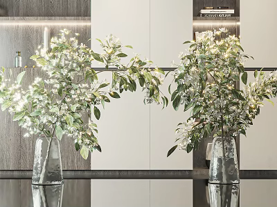 Transparent Glass Vases With White Floral Arrangements And Lush Green Leaves On Modern Interior Tabletop 3d model