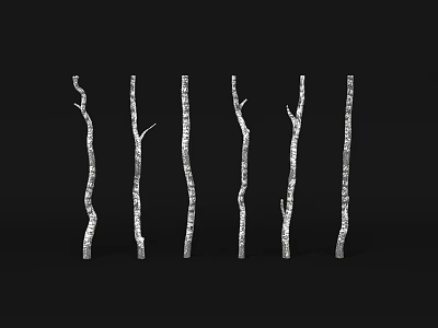 White Decorative Tree Branches With Curved Shapes On Black Background 3d model