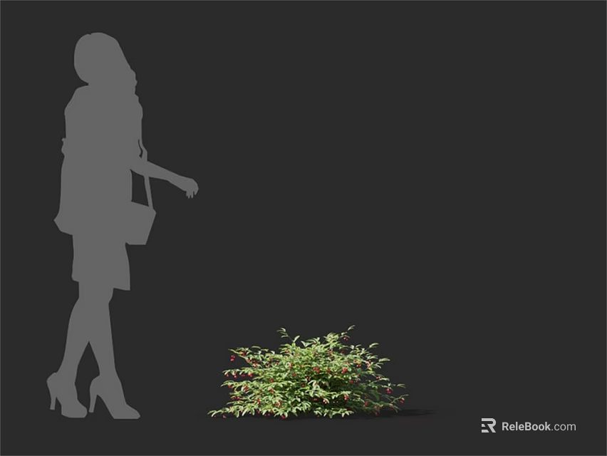 Healthy Green Arbor Plant With Woman Silhouette Standing Beside Fresh Lush Foliage 3d model 