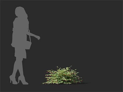 Healthy Green Arbor Plant With Woman Silhouette Standing Beside Fresh Lush Foliage 3d model