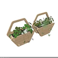 Indoor Wooden Hanging Planters With Green Bonsai And Various Leaf Plants