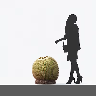 Silhouette of a Woman Approaching Large Cactus Pot Plant With Brown Base And Yellow Flowers 3d model
