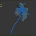 Tropical Palm Tree With Curved Trunk Green Leaves And Yellow Edges