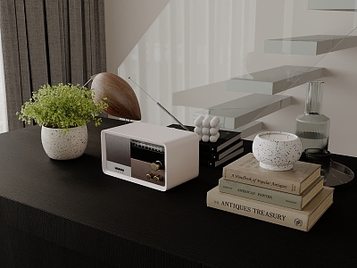 Modern Table Ornaments Books Potted Radio Wine 3d model