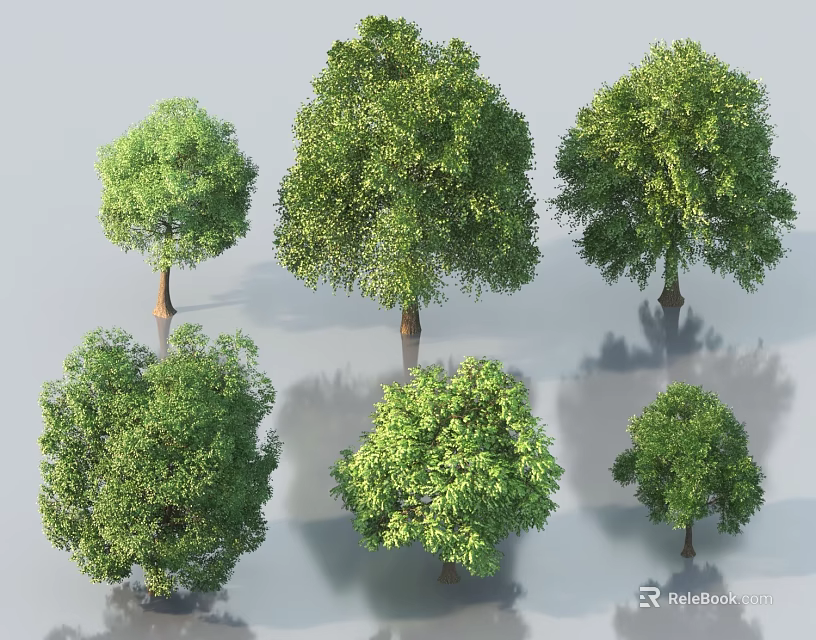 Green Leafy Trees With Various Sizes And Shadows For Landscape Design 3d model 
