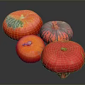 Colorful Fresh Pumpkins in Red Orange and Green Striped Hues on Dark Display Background