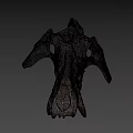 University of Wyoming Prehistoric Fossil Skull With Detailed Bone Structure
