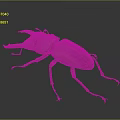 Reddish Brown Beetle with Large Mandibles and Slender Legs on Gray Background 3d model