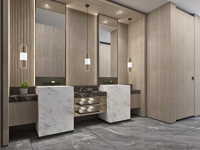 Public toilet Modern toilet 3d model