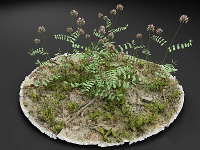 Circular Moss Covered Disc With Green Leaves And Purple Small Flowers 3d model