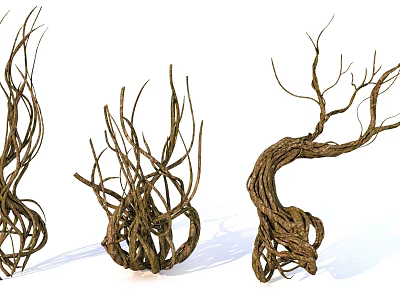 Decorative Twisted Dried Vines with Natural Woven Patterns and Curved Shapes 3d model