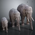 Three Gray Elephants Standing Together In Size Order Small Medium Large
