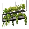 Modern hanging basket hanging plant 3d model