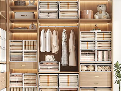 Organized Wooden Wardrobe Interior With Hanging Clothes Folded Storage Boxes Drawers And Decorative Teddy Bear 3d model