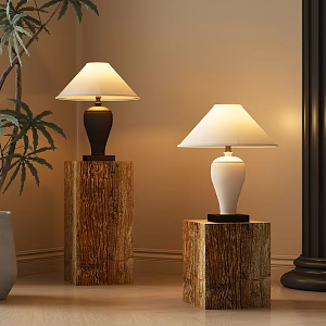 Middle Style Table Lamp 3d model