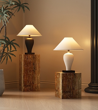 Middle Style Table Lamp 3d model