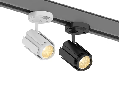 Black and White Track Mounted Downlights and Spotlights with Modern Design LED Warm Light 3d model