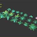 Green Plants With Various Leaf Shapes Arranged On Gray Background