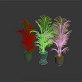 Three Green Palm Plants in Metallic Pots with Gray Background