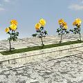 Yellow Flowers With Green Leaves On Four Stone Platforms Against Blue Sky And White Clouds
