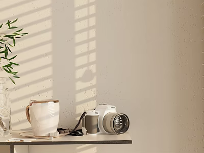 Stylish Digital Camera on Light Colored Table with Green Plant and Natural Blinds Shadow 3d model