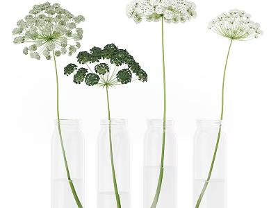 Clear Glass Vases With White And Green Fresh Flowers For Home Decor 3d model