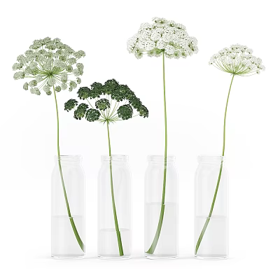 Clear Glass Vases With White And Green Fresh Flowers For Home Decor 3d model