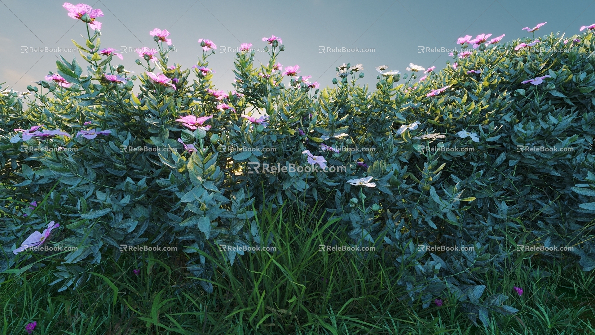 Flowers and Plants Combination Landscape Shrubs Shrubs Plant Combination Natural Landscape 3d model