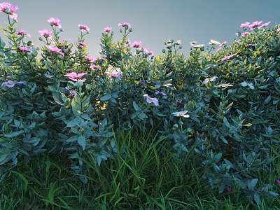 Lush Green Shrubs Bearing Pink Flowers in Garden with Grass Under Sky 3d model