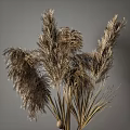 Brown Glass Vases With Dried Pampas Grass And Decorative Elements In Neutral Gray Interior